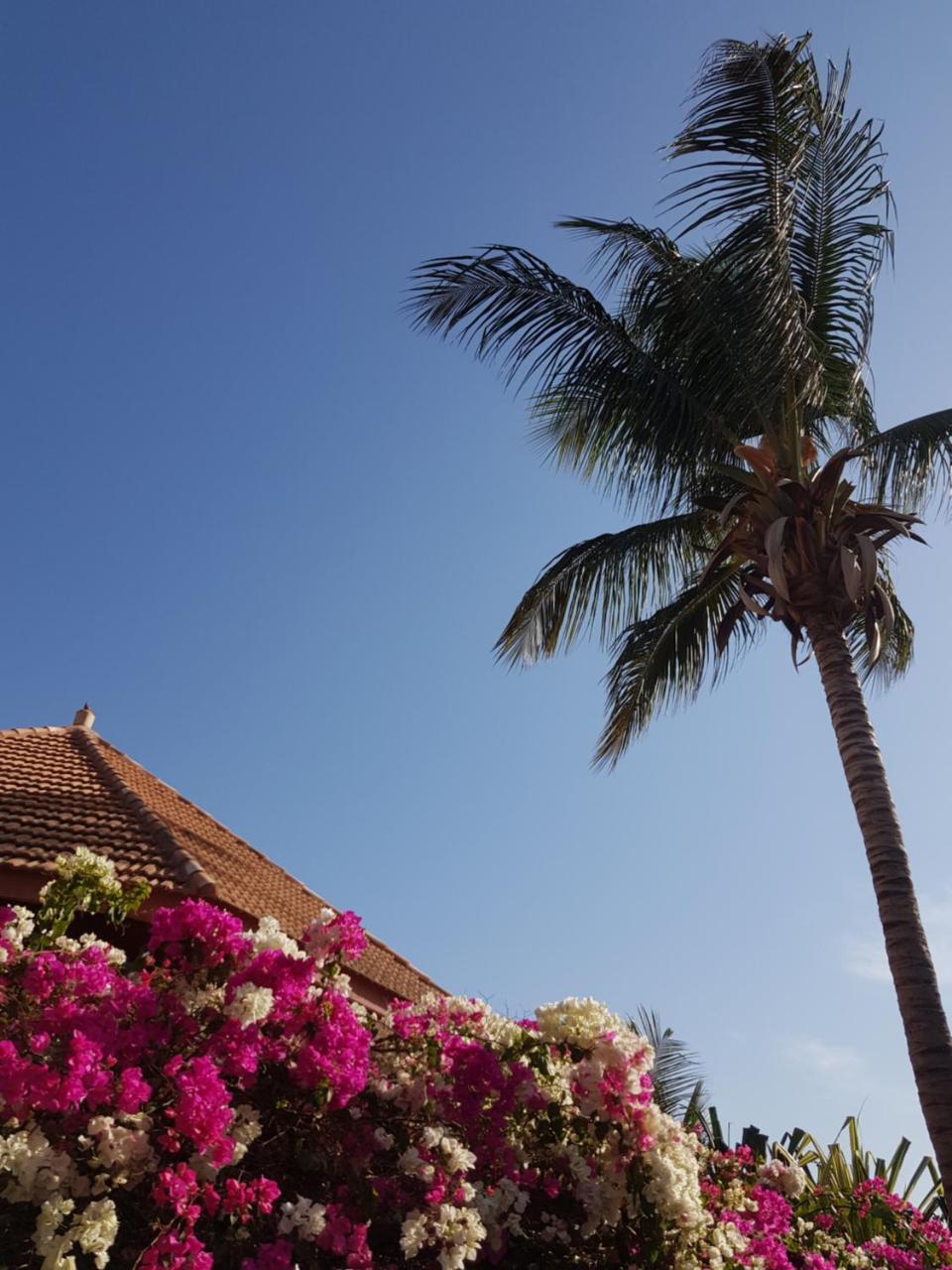 Villa Met Prive Zwembad In Residence Safari Village Saly Portudal Eksteriør billede